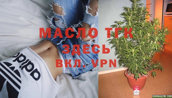 индика Аркадак