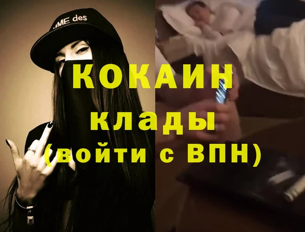 индика Аркадак