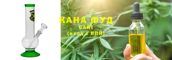 индика Аркадак