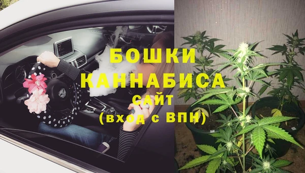 индика Аркадак
