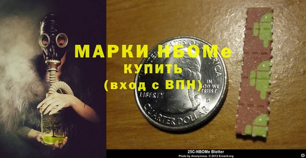 индика Аркадак