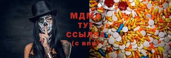 индика Аркадак