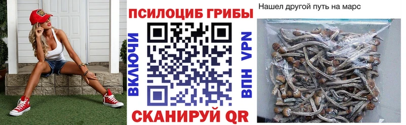 кракен ссылки  как найти закладки  Бабушкин  Псилоцибиновые грибы ЛСД 